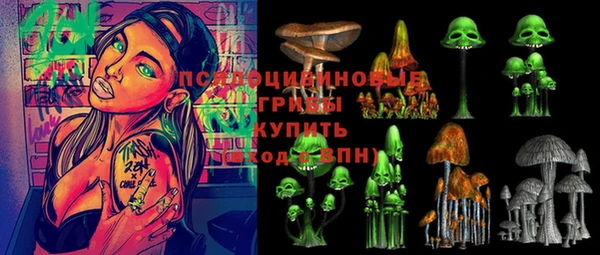 молекула духа Волосово