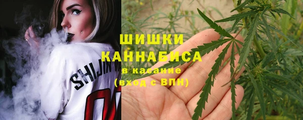 молекула духа Волосово
