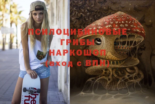 молекула духа Волосово