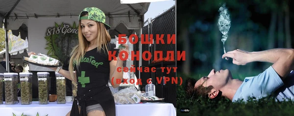 молекула духа Волосово