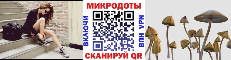 Галлюциногенные грибы мицелий  купить закладку  Воронеж 